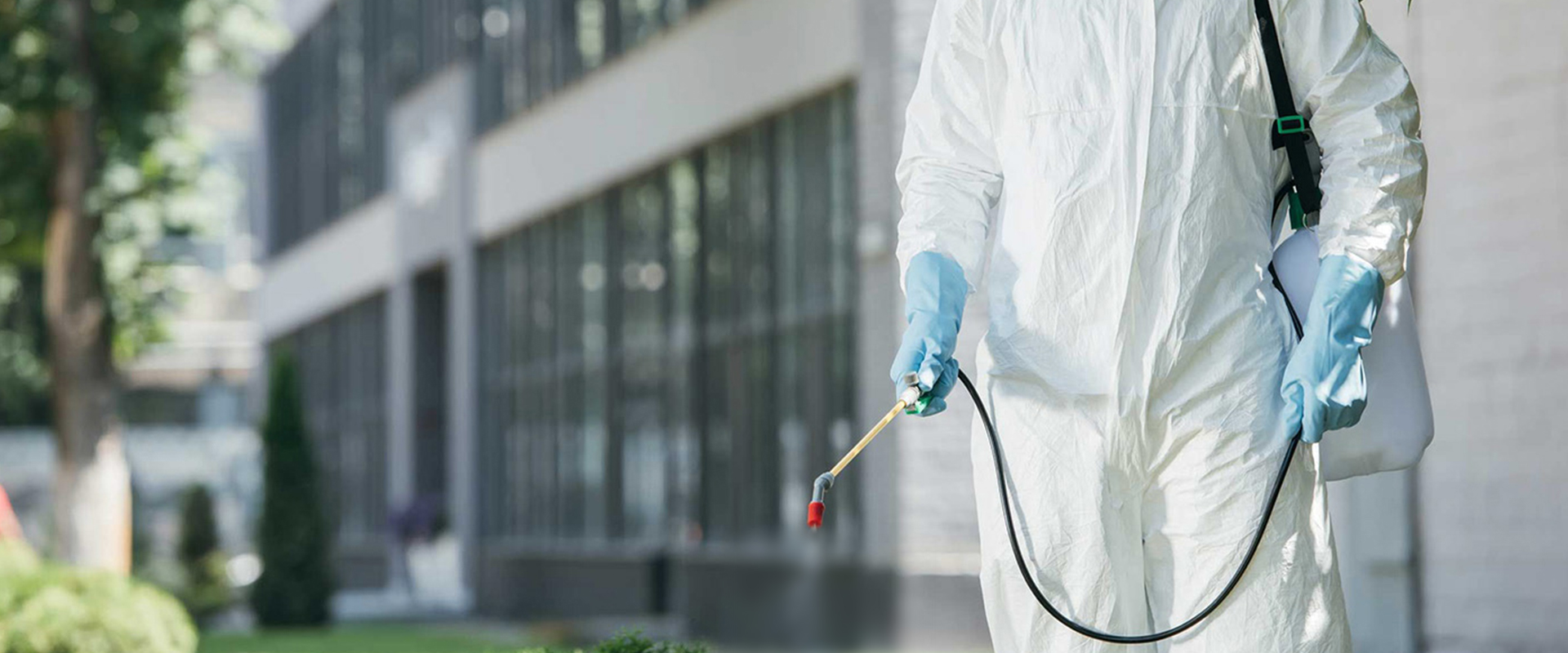 專業(yè)家庭消毒公司