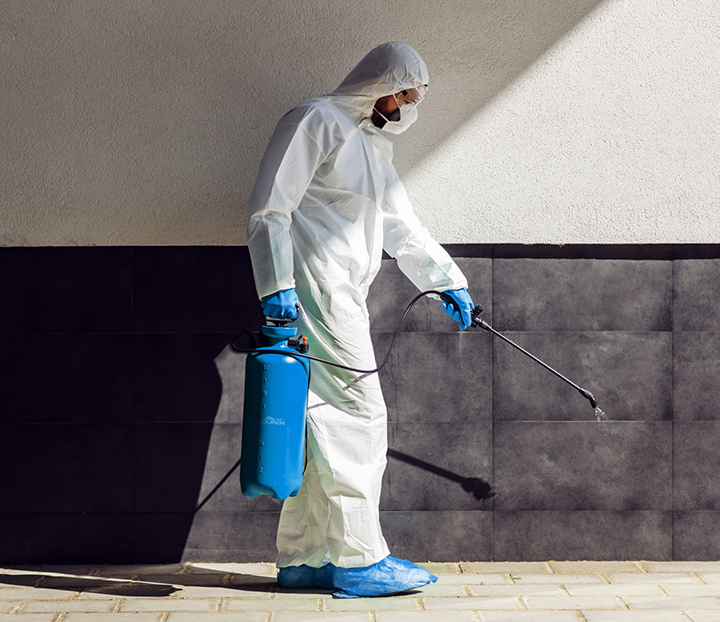 專業(yè)除蟲消毒公司