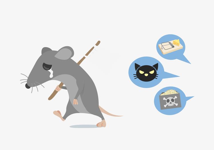 春季朝陽(yáng)區(qū)滅鼠常用什么藥？有哪些注意事項(xiàng)？