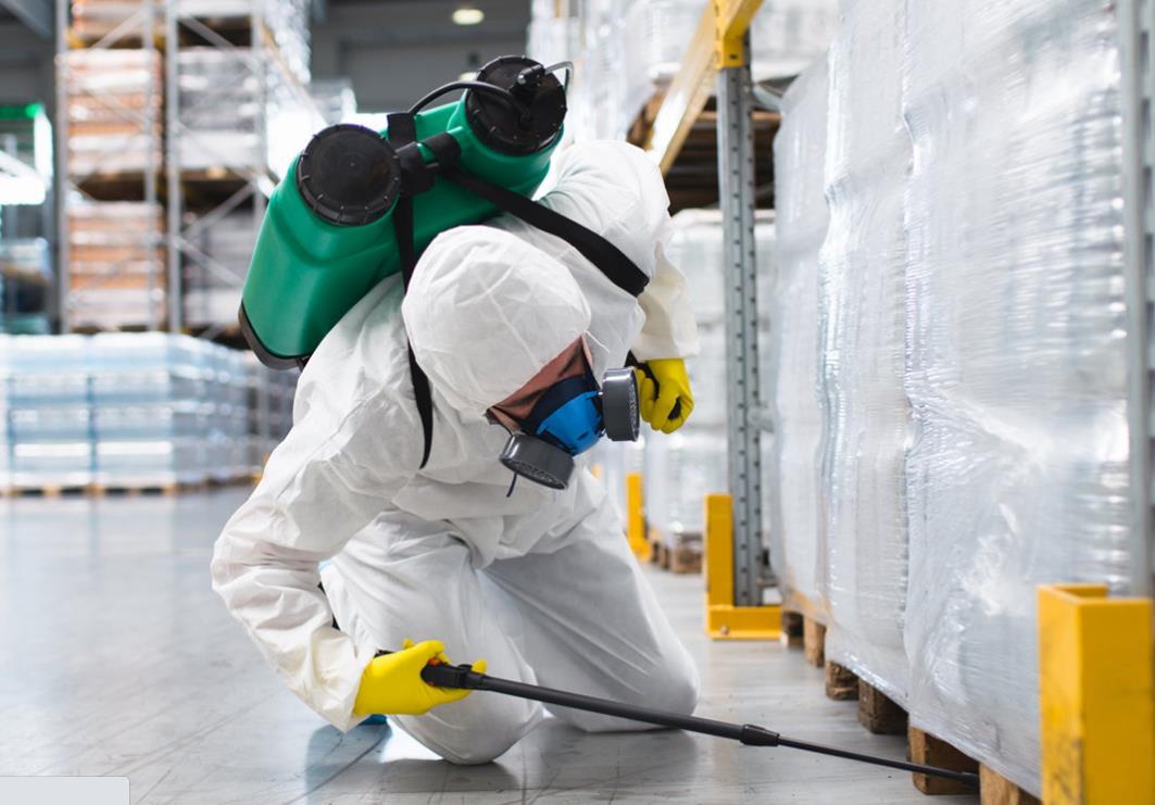 糧倉糧庫殺蟲：象蟲用什么方法消滅？